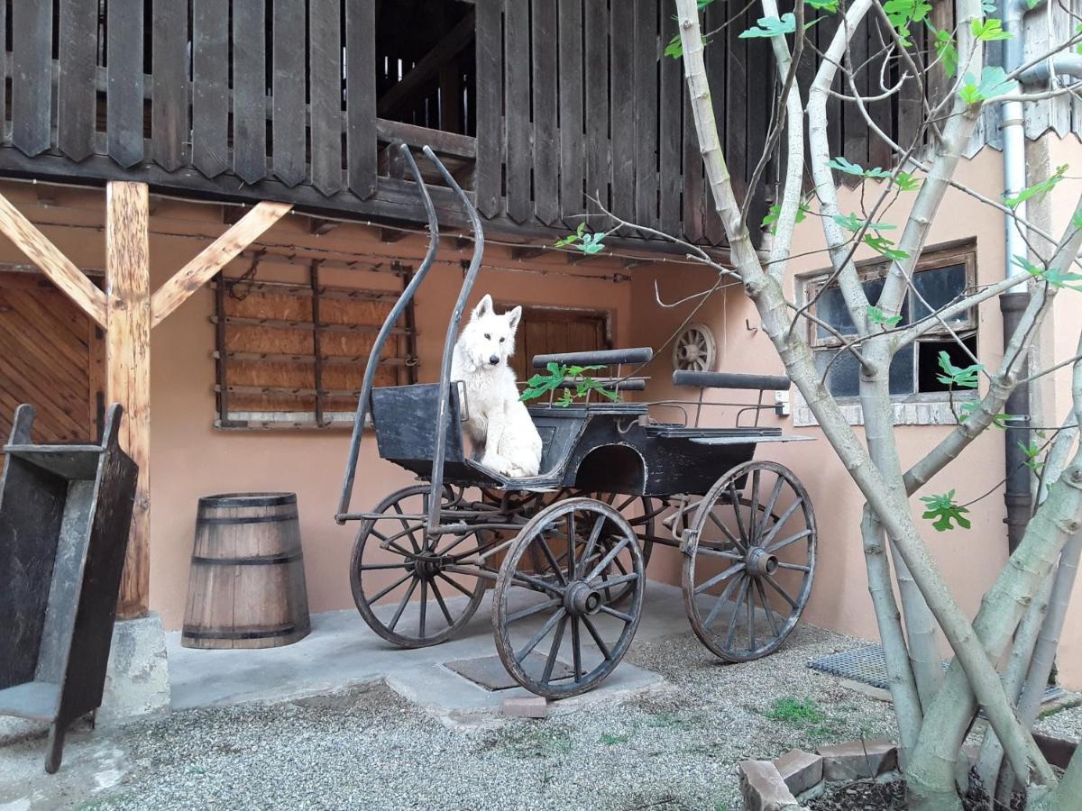 Gites Les Cocottes Zellwiller Exterior foto